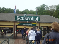 Парк Кейкенхоф в Голландии в мае 2014 года