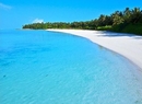 Фото Sun Island Resort