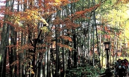 Asaba