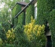 Casa Da Tojeira