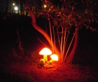 Парк фонарей в Бэйдайхэ 