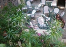 Фото Elpida Hotel & Apts