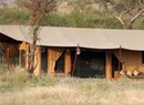 Фото Lemala Ndutu Tented Camp Serengeti