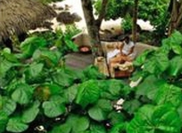 Aitutaki Lagoon Resort & Spa