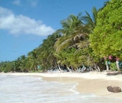 Coco Plum Beach Hotel