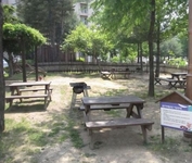 Kumho Seorak Resort