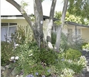 Фото Ashleigh Court Motel