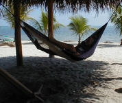 Diving Pelican Seaside Suites