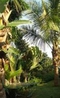 Фото New Madagascar Hotel