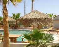 Baja Palms Hotel