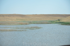 это небольшое озеро  мы нашли в  хазарских степях Астраханской области