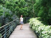 Тропический сад