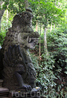 Статуя дракона в лесу обезьян