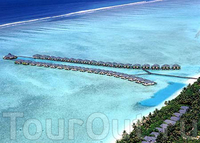 Коралловые рифы на Мальдивах