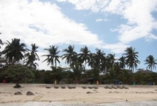 Bantigue Cove Malapascua Beach Resort