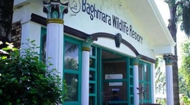 Baghmara Wildlife Resort