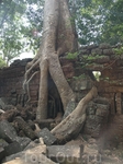 Ta Phrom