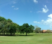 The Woods at Palmas del Mar