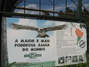 Самый большой и сильный орел в мире, высота 1.30 м, размах крыльев 2 м, вес 6-9 кг.