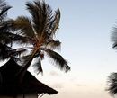 Фото SENTIDO Palm Beach Resort