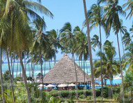 Территория отеля Ocean Paradise Zanzibar Hotel 5*