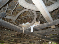 Охраняет вход во дворец,пытались трижды разбудить - не реагирует... Охраняет вход во дворец,пытались трижды разбудить - не реагирует...