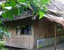 Фото Kosrae Village Ecolodge