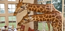 Фото Giraffe Manor Boutique
