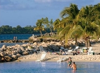 Point Village