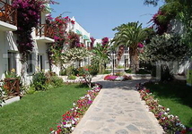 Club Sardunya & Petunya Hotel