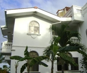 The Dolphin The Dolphin