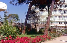 Hotel Bellevue Beach