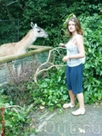моя сестра и лама в зоопарке уже в Амстердаме