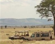 Lemala Ewanjan