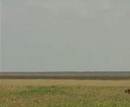 Фото Lemala Ewanjan