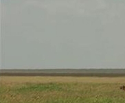Lemala Ewanjan