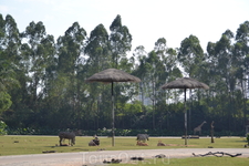 Сафари парк