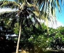Фото Rendezvouz Beach Resort