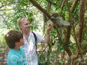 Экскурсия в национальный парк Josani Forest, красная обезьяна Колобус