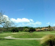 The Woods at Palmas del Mar