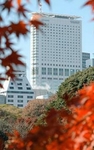 Century Southern Tower Hotel