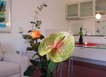 Apartments Domus Sidro