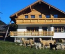 Фото Alpenchalet-Gosau