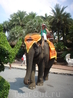Катание на слонах в Нонг Нуч
