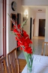 Apartments Herceg Novi