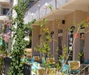 Фото Magnolija