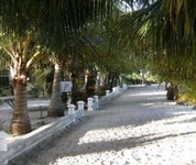 Paradise Vacation
