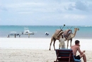 Фото Pinewood Village Beach Resort & Spa