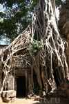 Камбоджа Ангкор