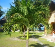 Anse Kerlan Beach Chalets